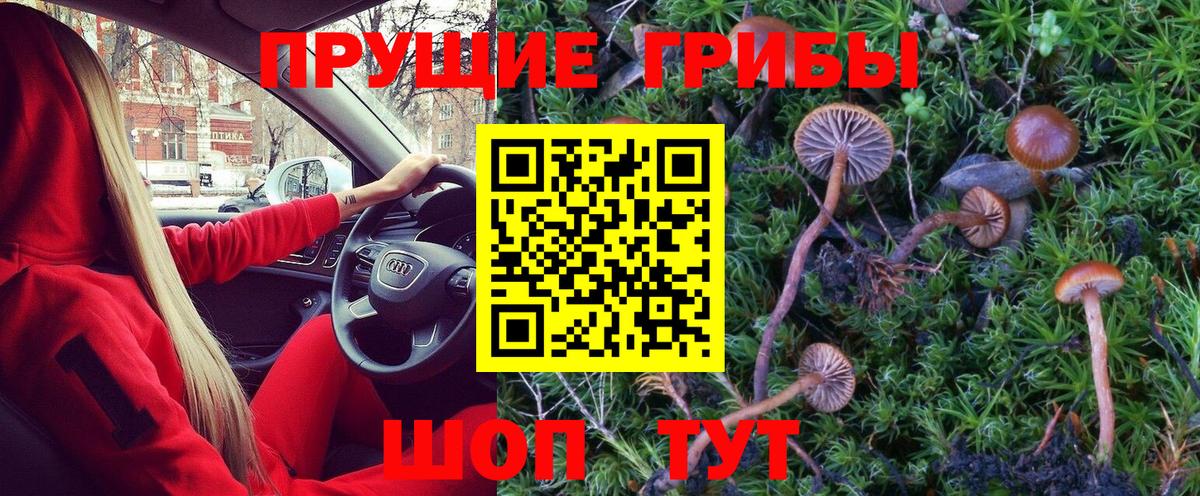 Галлюциногенные грибы MAGIC MUSHROOMS  Вход с VPN  Артёмовский 