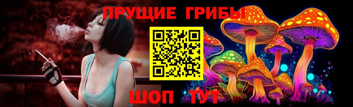 Псилоцибиновые грибы мухоморы Артёмовский